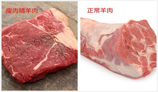 1616116138242112.jpg 圖片22.jpg